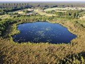 Retai rinkoje atsiranda sklypų, kuriuose - nuotraukos Nr. 30