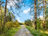 Parduodamas komercinės paskirties 3 ha - nuotraukos Nr. 4
