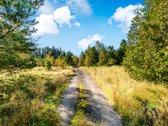 Parduodamas komercinės paskirties 3 ha - nuotraukos Nr. 9