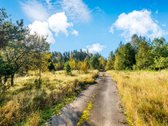 Parduodamas komercinės paskirties 3 ha - nuotraukos Nr. 10