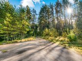 Parduodamas komercinės paskirties 3 ha - nuotraukos Nr. 13