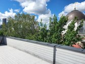 Organizuojamos Buto Apžiūros Sekmadienį (07 - nuotraukos Nr. 13