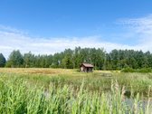 Erdvus Sklypas Su Dideliu Tvenkiniu, Pirtimi - nuotraukos Nr. 2