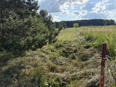 Parduodamas Sklypas Totorinės Km. (Prie - nuotraukos Nr. 8