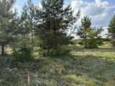 Parduodamas Sklypas Totorinės Km. (Prie - nuotraukos Nr. 9