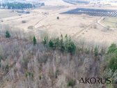 Verta Žinoti - nuotraukos Nr. 9