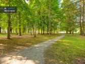 Gyvenkite Šviesos, Erdvės Ir Miško - nuotraukos Nr. 33