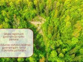 Parduodamas 7,7496 ha ūkinio miško sklypas - nuotraukos Nr. 2