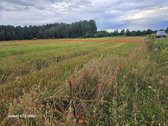 Parduodami 2 žemės sklypai 0,1260 ha ir 0 - nuotraukos Nr. 13