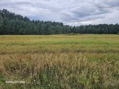 Parduodami 2 žemės sklypai 0,1260 ha ir 0 - nuotraukos Nr. 14