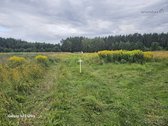 Parduodami 2 žemės sklypai 0,1260 ha ir 0 - nuotraukos Nr. 9