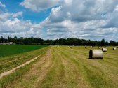 Parduodama sodyba (vienkiemis) su 8,5 ha - nuotraukos Nr. 6