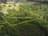 Upelis, miškas, asfaltas, šalia komunikacijos. - nuotraukos Nr. 2