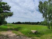 Parduodamas 5 ha žemės ūkio paskirties - nuotraukos Nr. 2