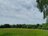 Parduodamas 5 ha žemės ūkio paskirties - nuotraukos Nr. 3