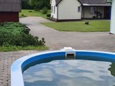 Parduodamas Sodyba Netoli Ragožės Ir Zapsio - nuotraukos Nr. 3