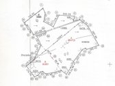 Parduodama 39,4713 ha žemės ūkio paskirties - nuotraukos Nr. 3