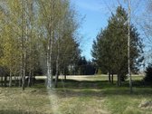 Parduodamas 2,00 Ha Žemės Ūkio Paskirties - nuotraukos Nr. 8