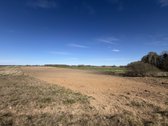 Parduodamas 2,00 Ha Žemės Ūkio Paskirties - nuotraukos Nr. 4