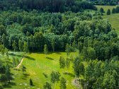 Parduodami 7 išskirtiniai namų valdos sklypai