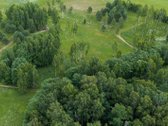 Parduodami 6 išskirtiniai namų valdos sklypai - nuotraukos Nr. 16