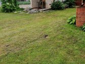 Parduodamas sodo sklypas 7,36 a su mūriniu - nuotraukos Nr. 2