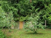 Parduodamas sodo sklypas 7,36 a su mūriniu - nuotraukos Nr. 6