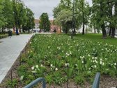 Tai Jūsų išskirtinė galimybė įsigyti tikro - nuotraukos Nr. 26