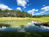 Išskirtinė Vieta Gamtos Apsuptyje – 2,08 Ha - nuotraukos Nr. 20
