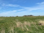 Parduodamas namų valdos žemės sklypas, Klevų