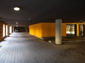 _ - nuotraukos Nr. 6
