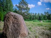 Parduodama Išskirtinė Poilsiavietė Su - nuotraukos Nr. 7