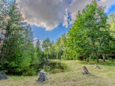 Parduodama Išskirtinė Poilsiavietė Su - nuotraukos Nr. 12