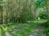 Parduodama Išskirtinė Poilsiavietė Su - nuotraukos Nr. 15