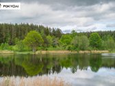Ar pasvajojate apie ramų poilsį gamtoje, - nuotraukos Nr. 13