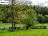 Ar pasvajojate apie ramų poilsį gamtoje, - nuotraukos Nr. 48