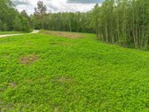 Parduodamas Nuostabus 1,1000ha Žemės Ūkio - nuotraukos Nr. 8