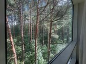 Geroje vietoje, Fabijoniškėse, Liongino - nuotraukos Nr. 3