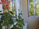 Jaukus studijos tipo butas Antakalnio širdyje: - nuotraukos Nr. 7