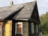 Vienkiemis prie kelio. Rami vietovė. - nuotraukos Nr. 2