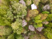 Parduodamas 87,59 arų namų valdos sklypas su - nuotraukos Nr. 3