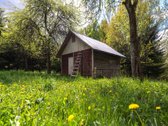 Parduodamas 87,59 arų namų valdos sklypas su - nuotraukos Nr. 10
