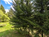 Parduodamas 87,59 arų namų valdos sklypas su - nuotraukos Nr. 25