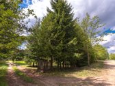 Parduodamas 87,59 arų namų valdos sklypas su - nuotraukos Nr. 33