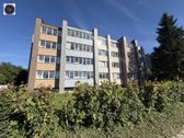 Parduodamas 3 Kambarių Butas Renovuotame Name