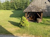 Raseinių r. sav., Gruzdiškės k. - nuotraukos Nr. 7