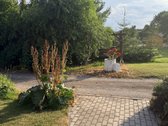 Raseinių r. sav., Gruzdiškės k. - nuotraukos Nr. 9