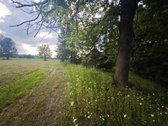 Išskirtinė Sodyba Su 57 Metrų Juostos Upės - nuotraukos Nr. 10