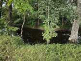 Išskirtinė Sodyba Su 57 Metrų Juostos Upės - nuotraukos Nr. 11