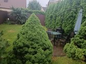 Kauno m. sav., Kauno m., Vilijampolė - nuotraukos Nr. 2